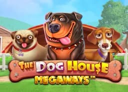 smartmedreminder: The Dog House Megaways